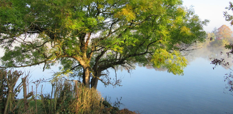 Seine near Fontainebleau